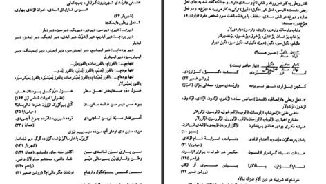 دانلود کتاب دستور تطبیقی زبان ترکی و فارسی حسن احمدی گیوی ۶۱۹ صفحه