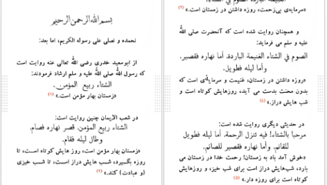 دانلود کتاب زمستان بهار عارفان عبدالواحد انصاری ۱۵ صفحه