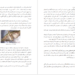 دانلود کتاب پرورش زنبورعسل و کرم ابریشم گروه تحصیل کشاورزی ۱۹۳ صفحه