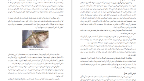 دانلود کتاب پرورش زنبورعسل و کرم ابریشم گروه تحصیل کشاورزی ۱۹۳ صفحه